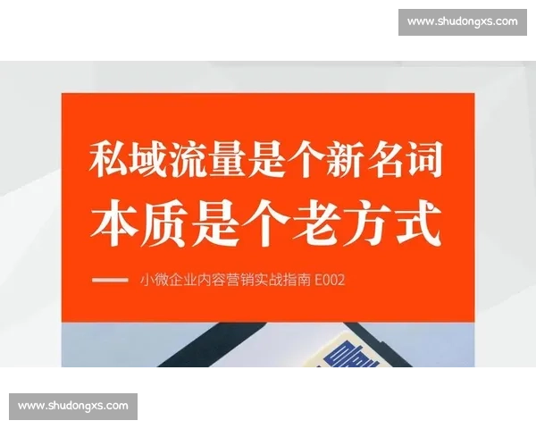 体育网站优化策略与流量提升实战指南解析全面方案与案例分享深度