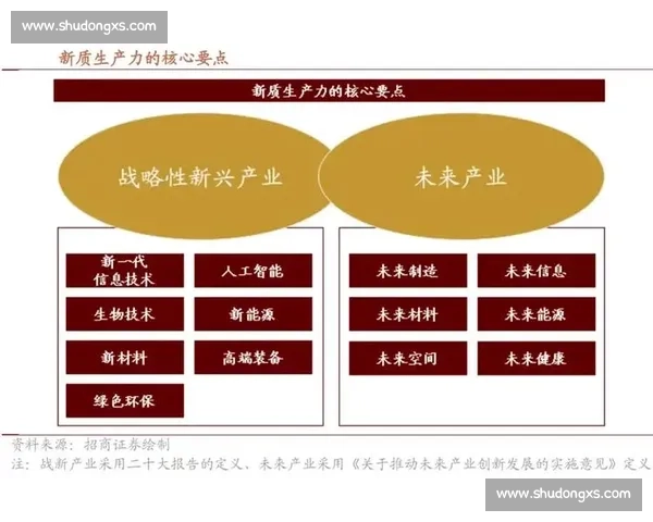 以新质生产为核心推动力的创新发展模式与产业升级路径分析