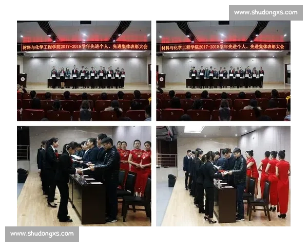 表彰先进个人与集体激励机制优化方案研究与实践